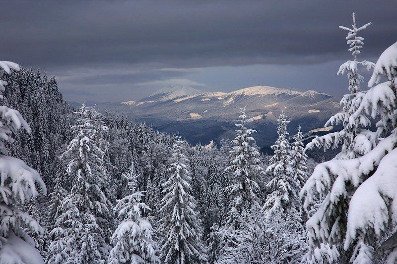 карпаты *** фото превью