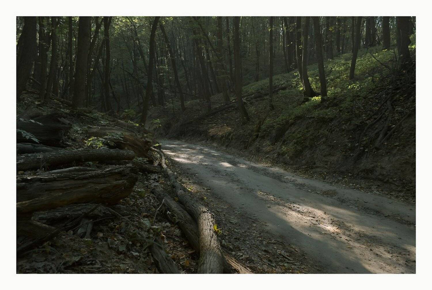 , Сергей Полукаров