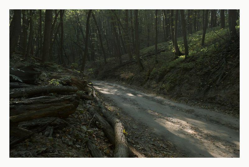 * * * фото превью