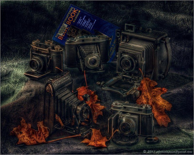 Гармошки... фото превью