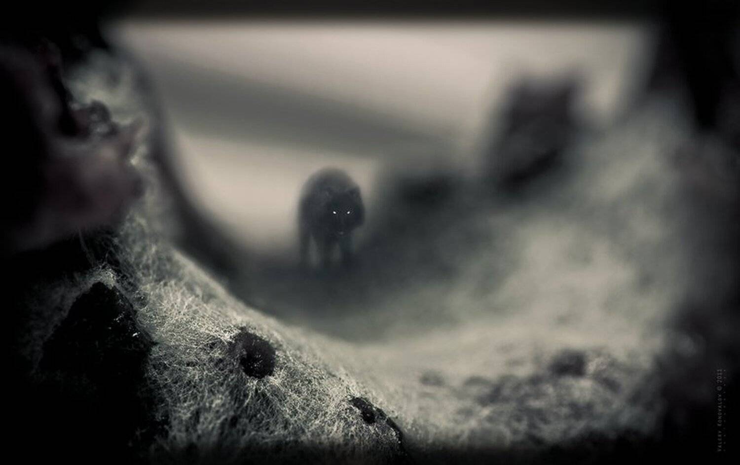 , Валерий Коновалов