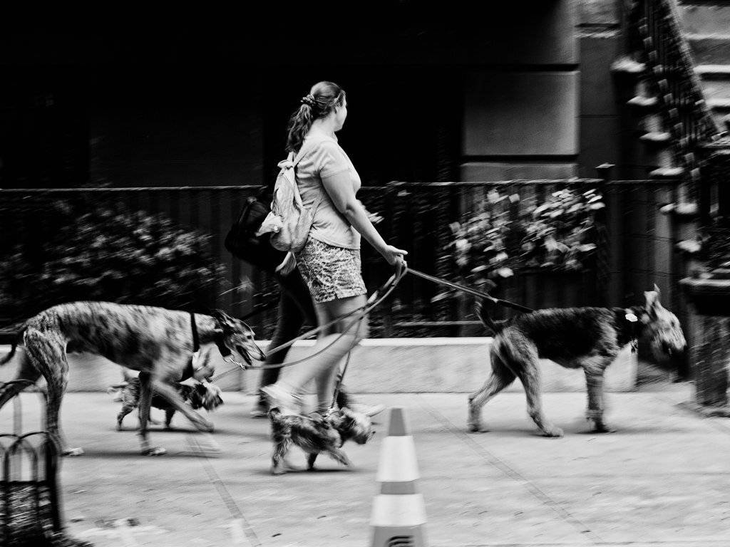 , Штабнов Юрий