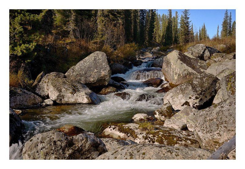 Стремящаяся вниз. фото превью