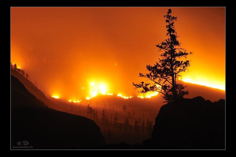 *** фото превью