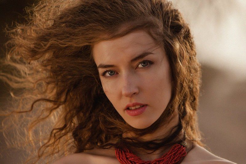 zebromashka desert фото превью