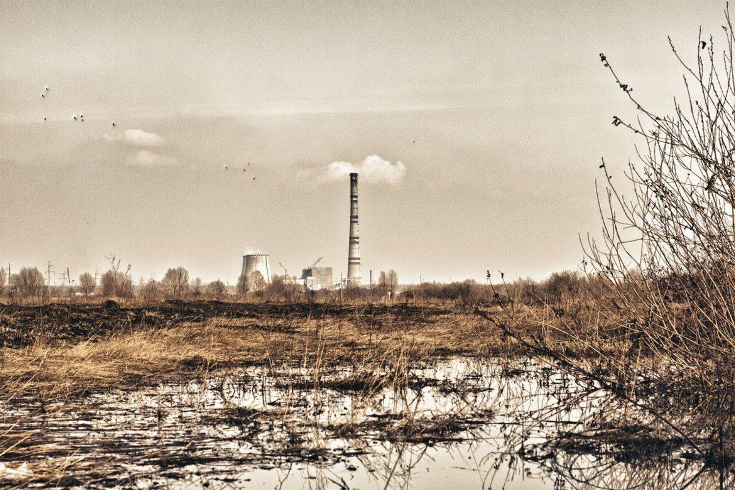 осень, уныние, пейзаж, тец, желтый, сухой, негатив, упадок, Anton