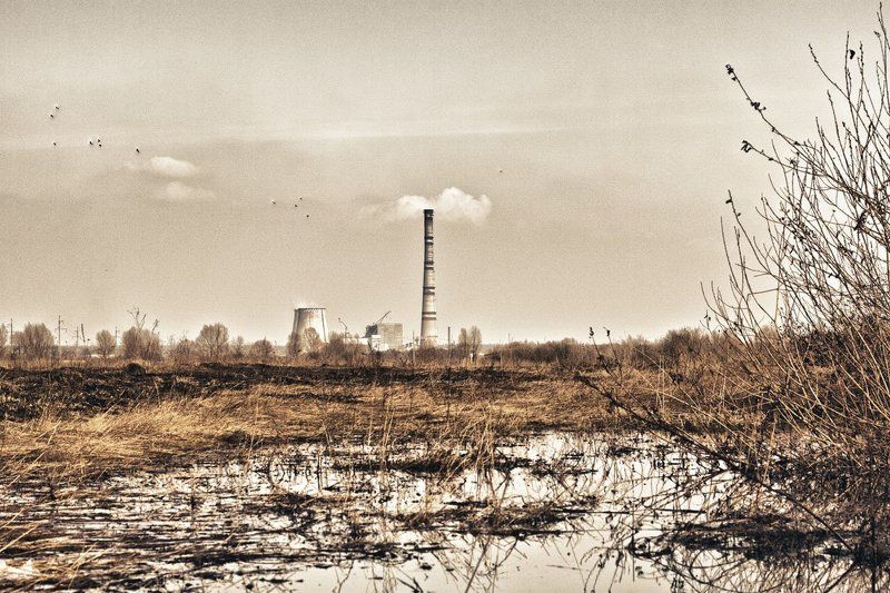 осень, уныние, пейзаж, тец, желтый, сухой, негатив, упадок  фото превью