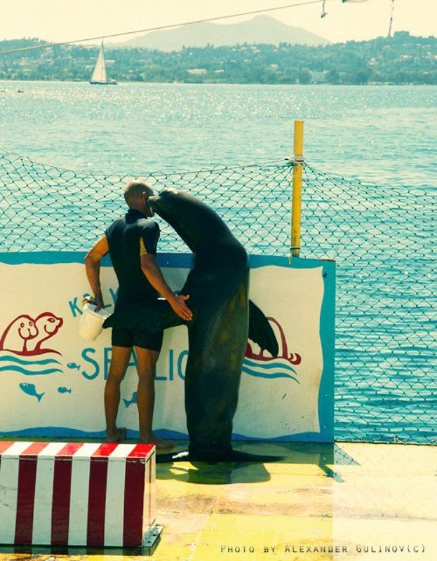 Нежность фото превью