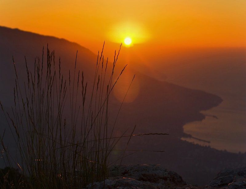 Halo фото превью