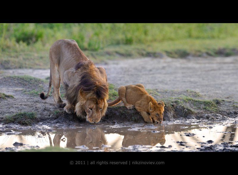 Father and son