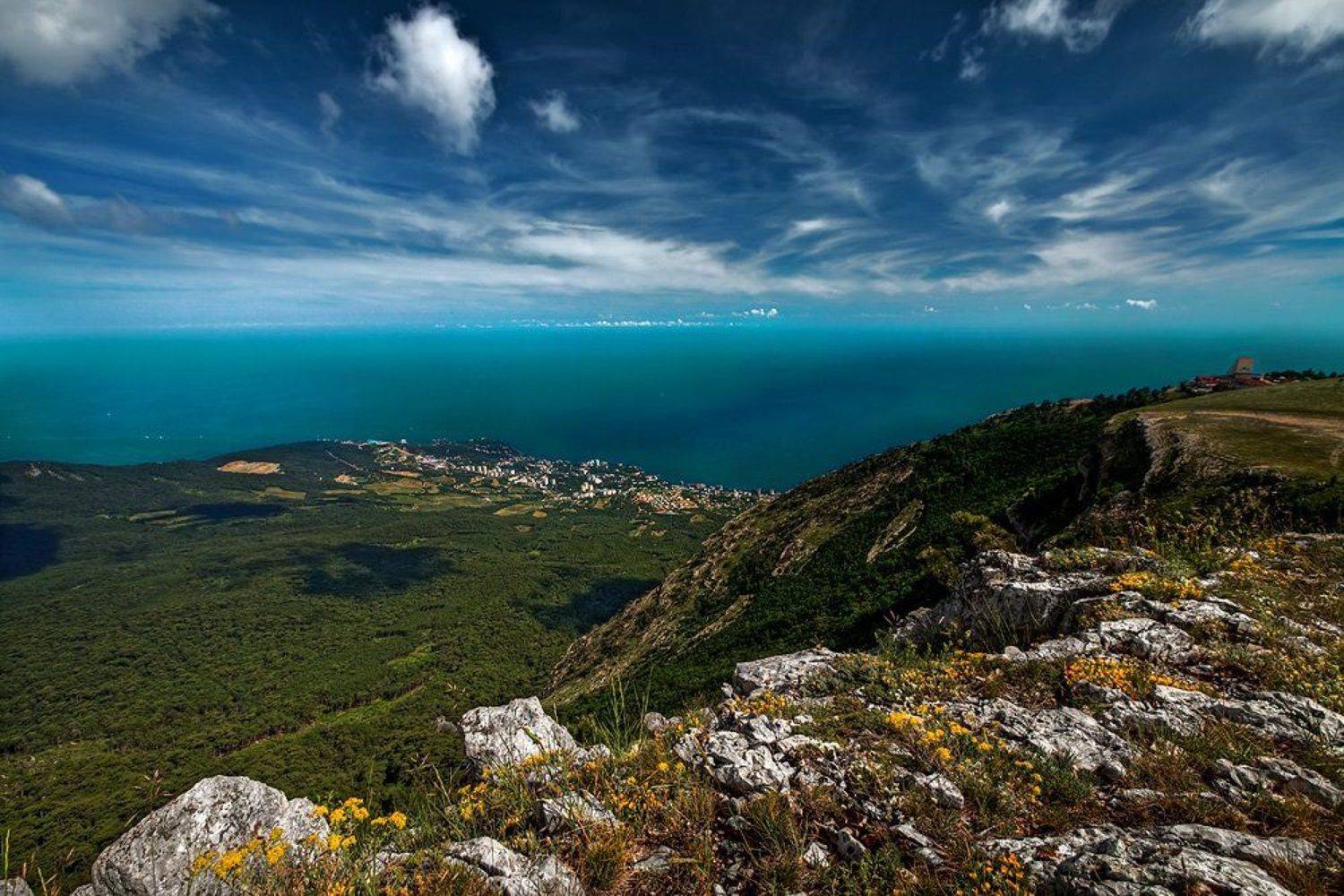 , Протопопова Вера