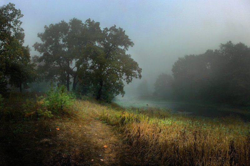 Утро на речке фото превью