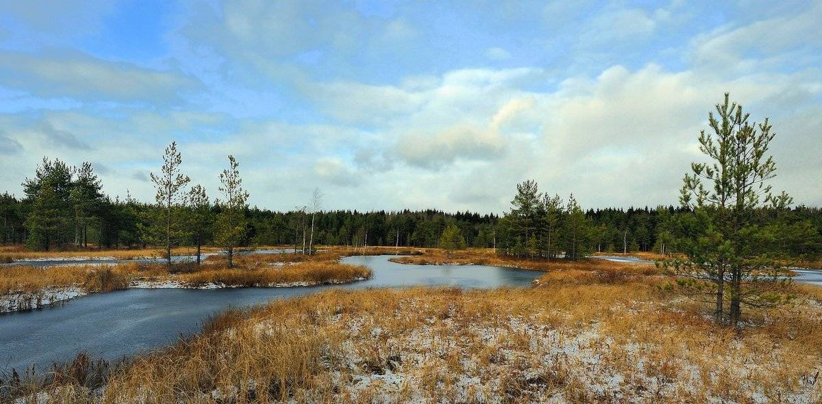 , Сергей Седов