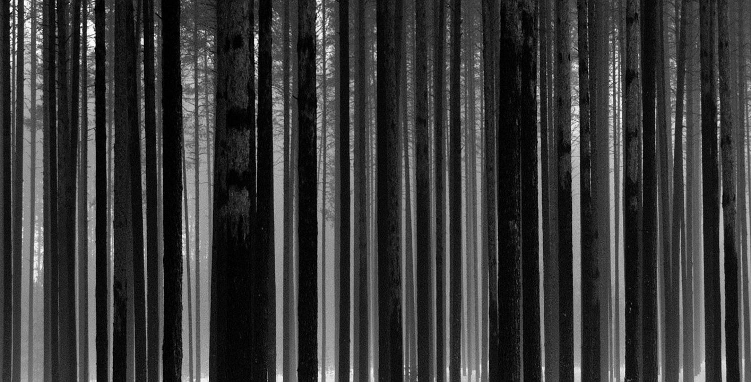 , Клюшкин Юрий