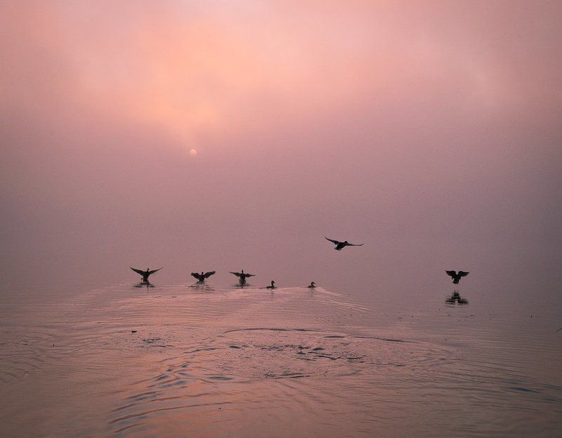 киев,днепр,оболонская набережная, Навстречу солнцу фото превью