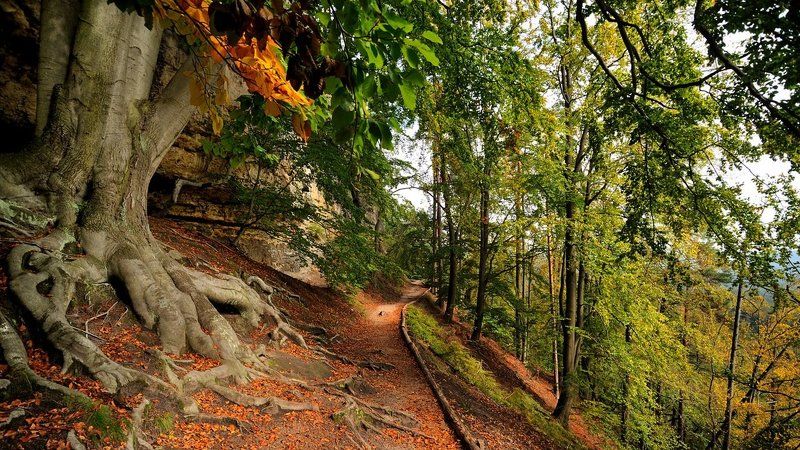 чешская, швейцария Чешская Швейцария фото превью