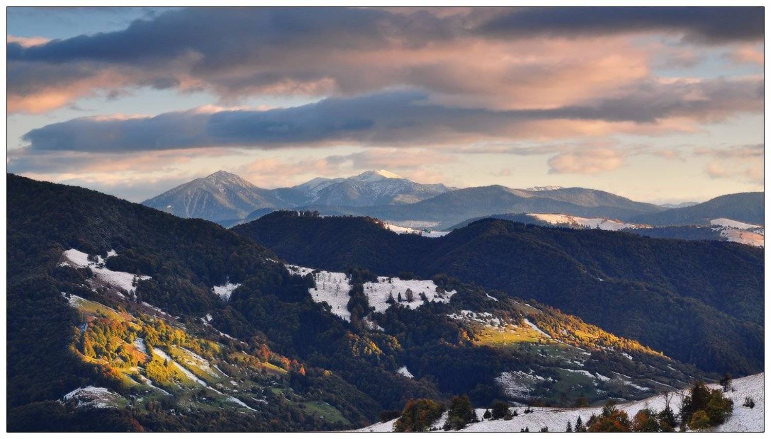 , Денис Кривой