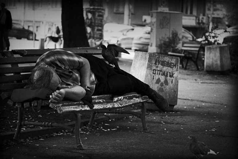 ... фото превью