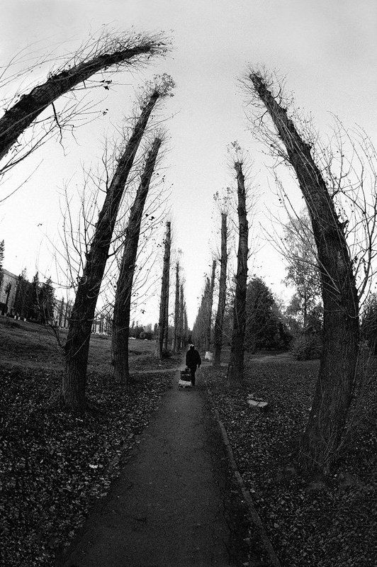 фишай, пеленг, fisheye, peleng о круговороте жизни фото превью