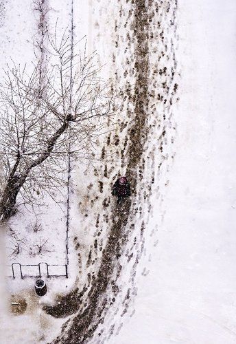 Следы невиданных...