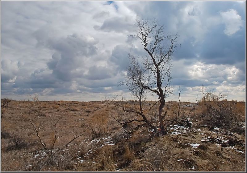 природа *** фото превью