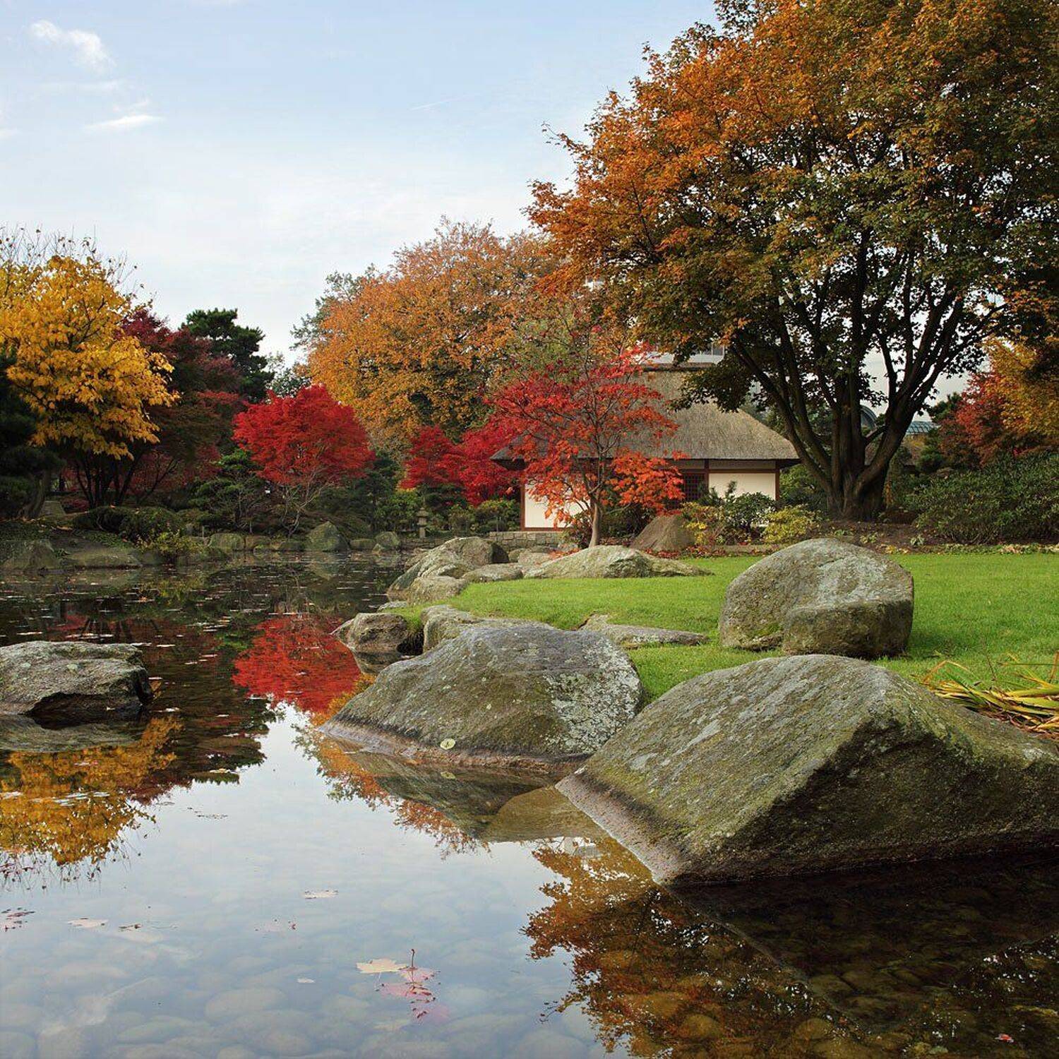 город, гамбург, осень, парк, Игорь Дубровский