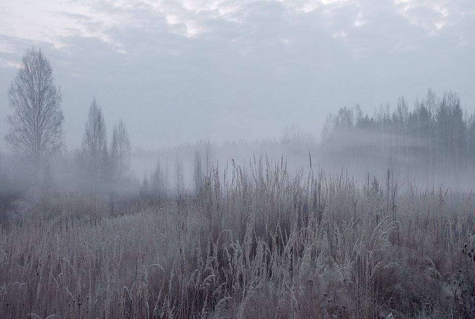 , Потап Кузьмич