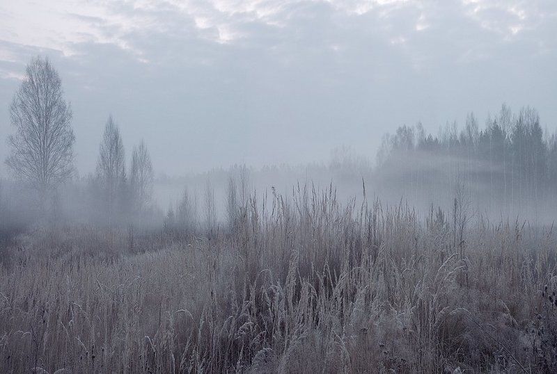 Cедая Осень фото превью