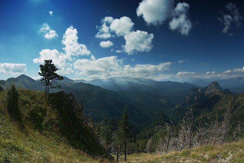 тхач Поднявшийся чтобы уцелеть. фото превью