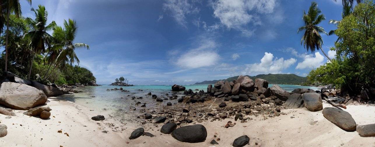 , Людмила Прокофьева