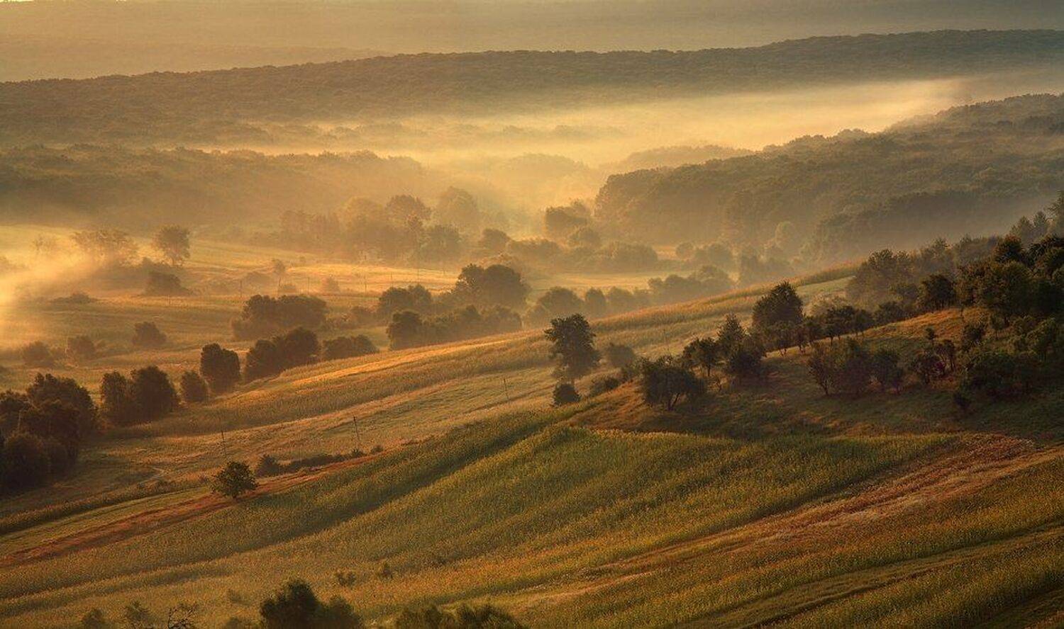 , Alexandru Popovski