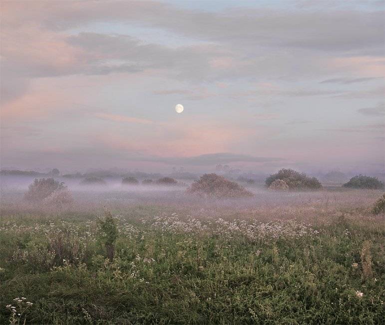 , Сергей Пархоменко