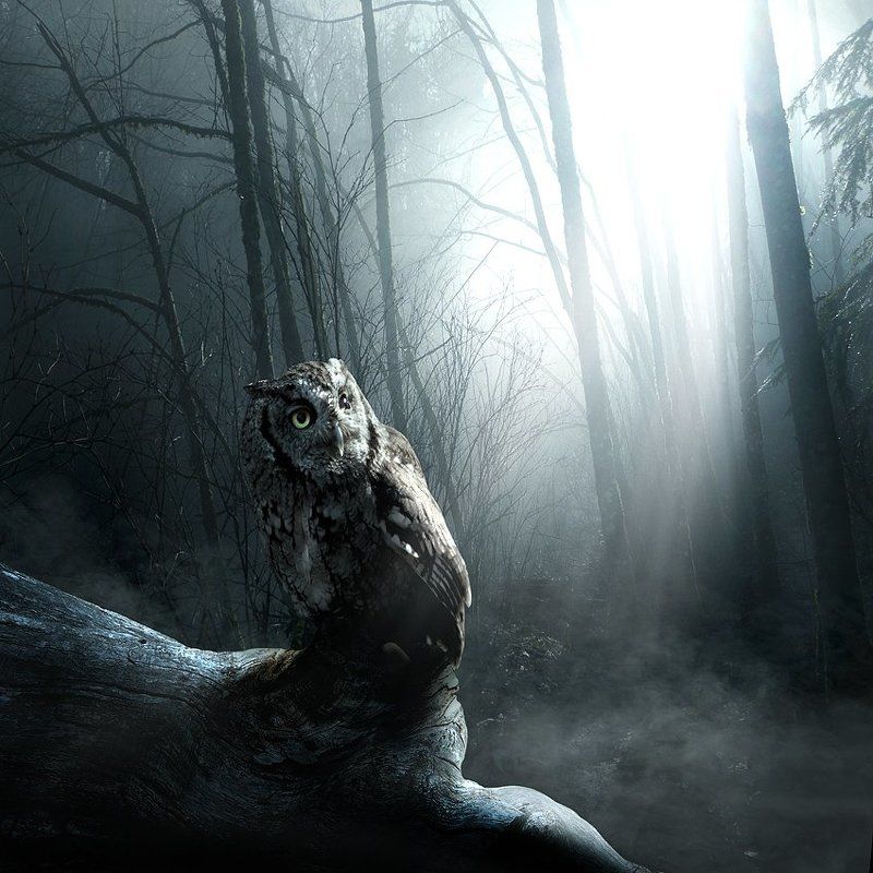 Visions from my parallel world фото превью