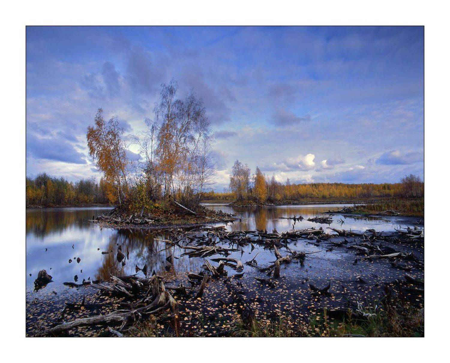 mformat, Дима Лялин