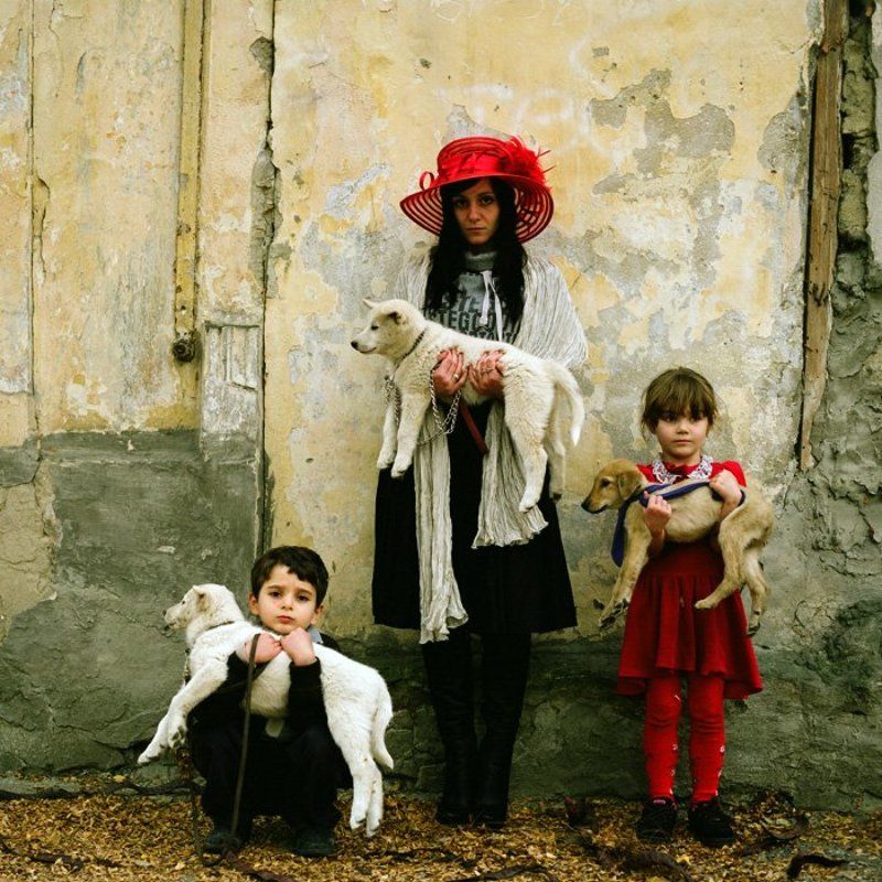 Двор. фото превью