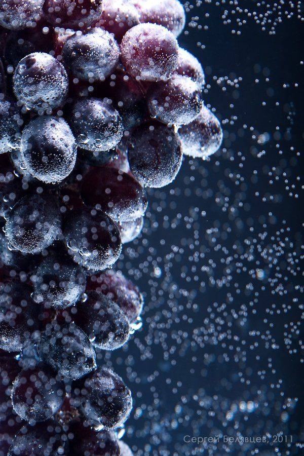 , Сергей Белявцев