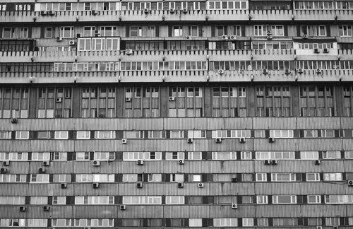 Муравейник