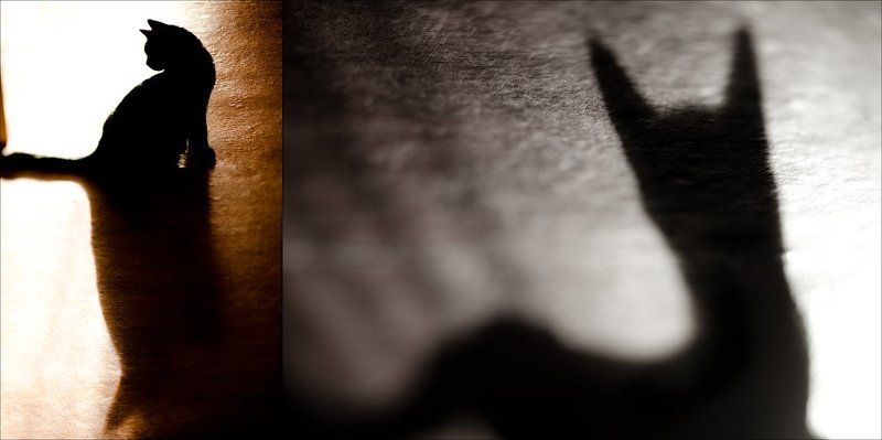 Первые десять фото превью