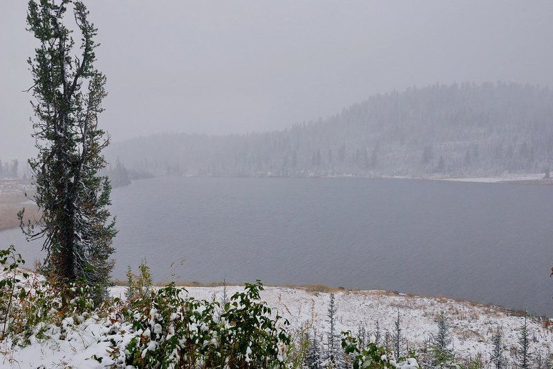 Ненастье. фото превью