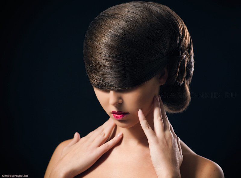 Наутилус фото превью