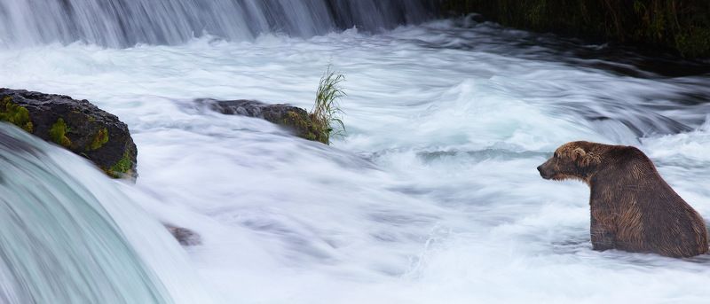 НЕДВИЖНЫЙ ИСТУКАН... фото превью