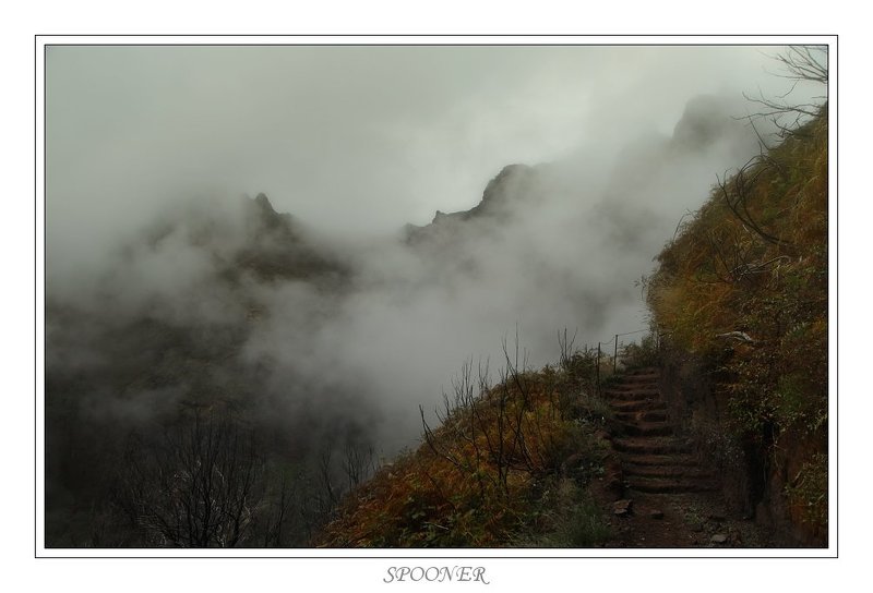 * * * фото превью