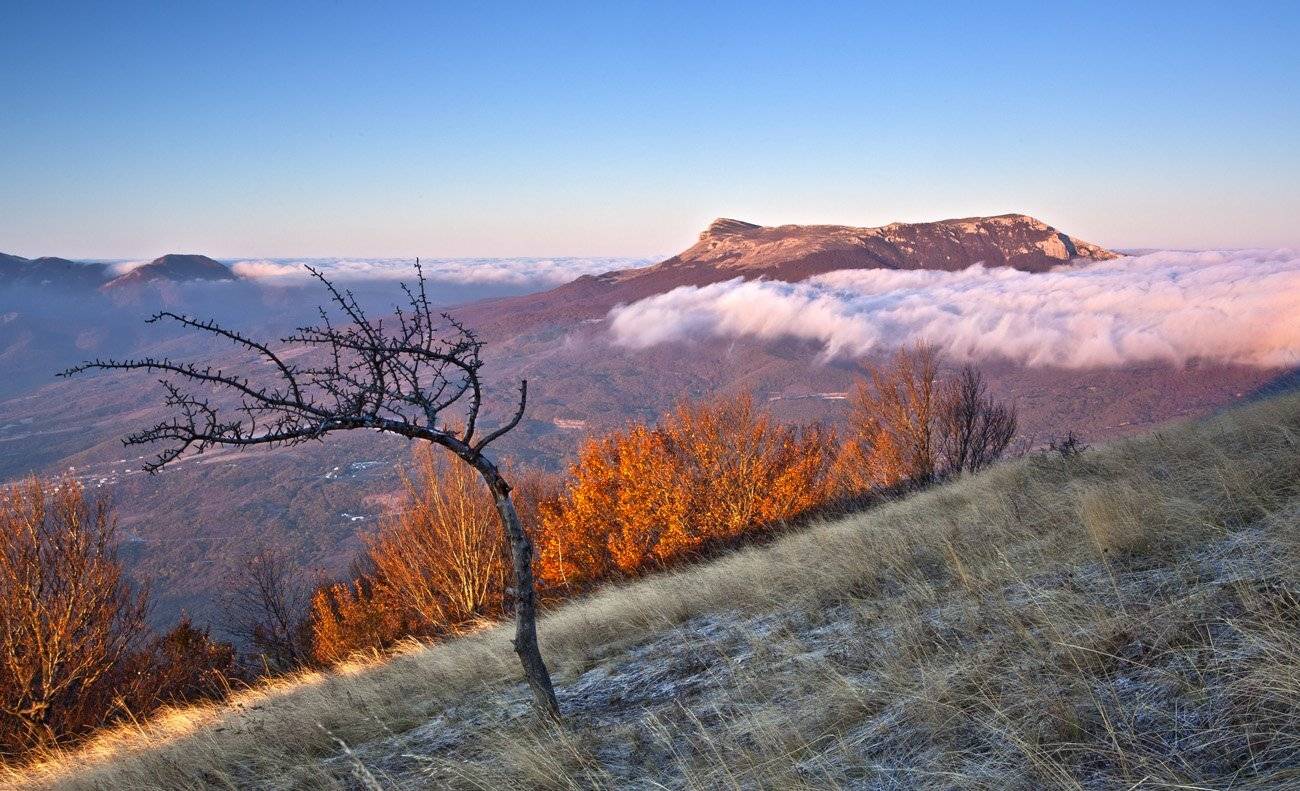 , Станислав Савицкий
