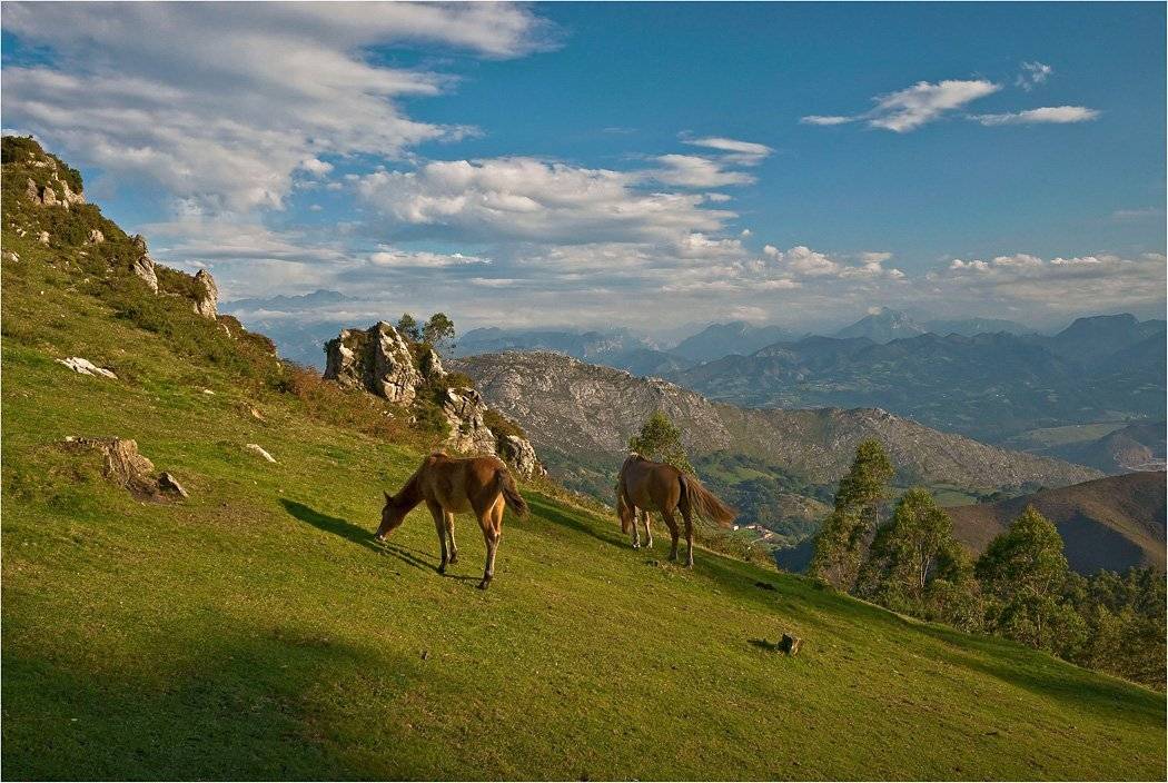 испания, кантабрия, кордильеры, Сергей Гаспарян