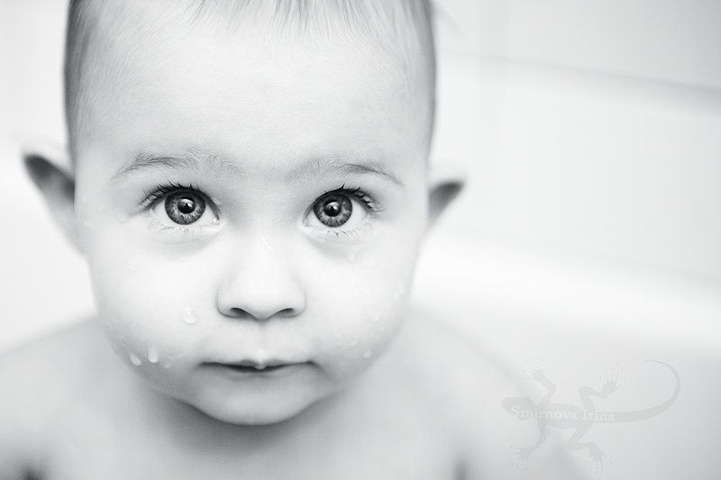 портрет, ребенок, дети ушастик фото превью