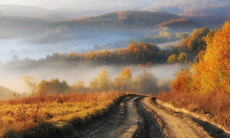 Дорога в осень...