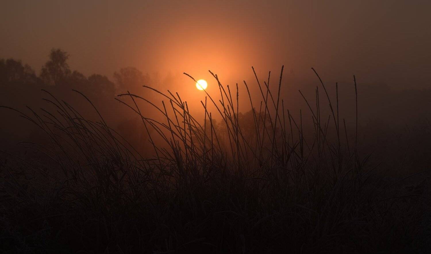 рассвет, Сергей Харитон