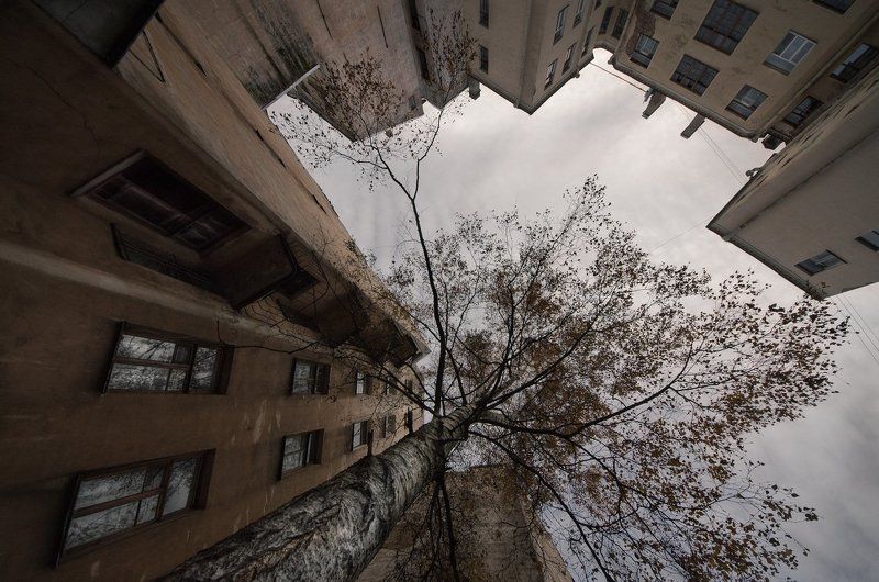 Холодная фото превью