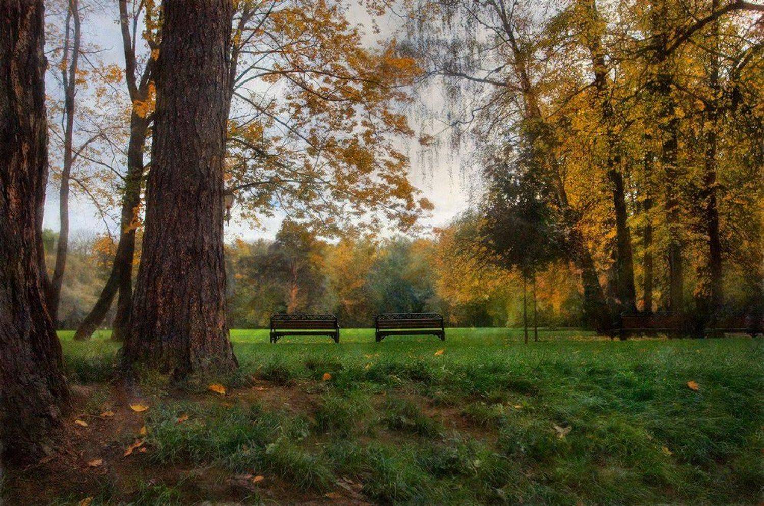 , Наталья Кузнецова (Nateletro)