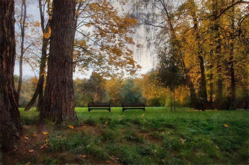 Осенний парк... фото превью